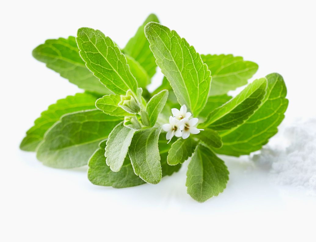 Vilgain Natúr Stevia Cseppek 50 ml