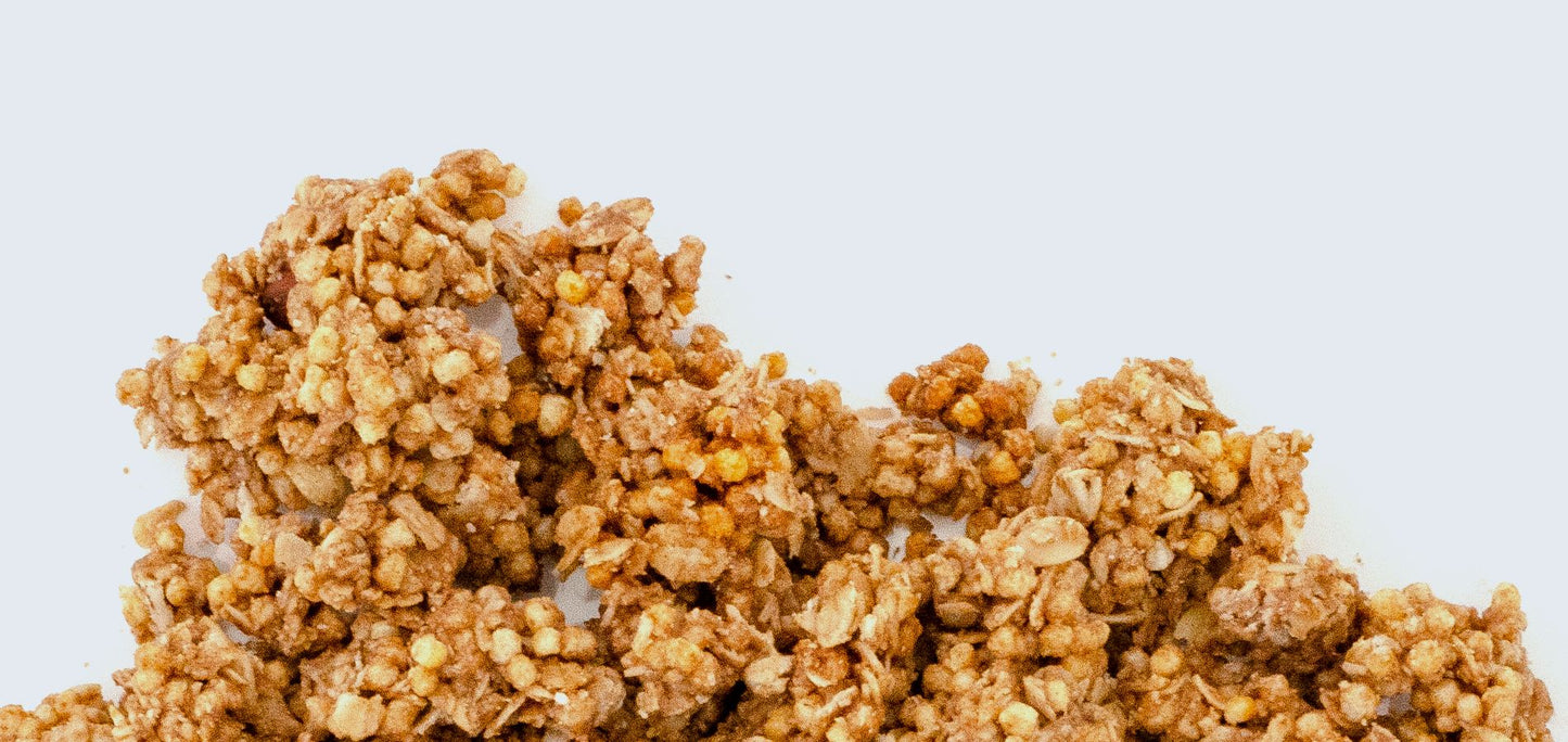 Vilgain Ropogós Fahéjas Protein Granola 350g